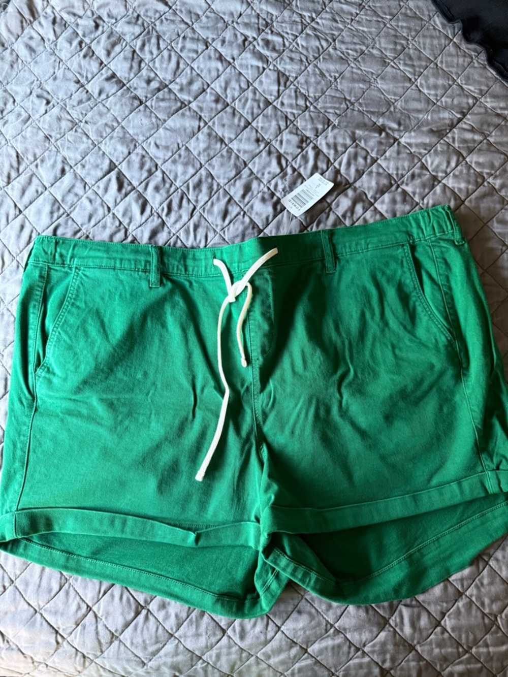 Torrid Green Drawstring Casual Shorts